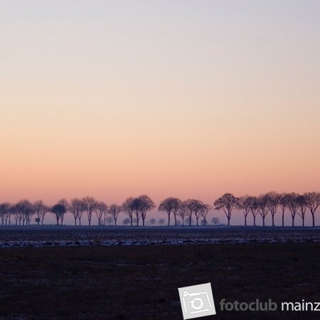 2025 Mein Bild - Elke Hickstein: &quot;Winter im Selztal&quot;